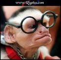 mon golo
